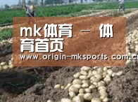种植基地八