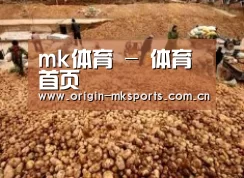 种植基地二