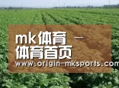 种植基地五
