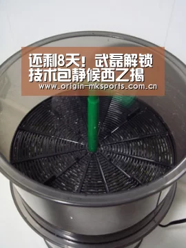 还剩8天!武磊解锁技术包静候西乙揭幕战 西班牙人官宣新赞助商【mk体育在线】(图1) mk体育平台